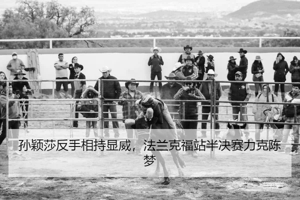 孙颖莎反手相持显威，法兰克福站半决赛力克陈梦